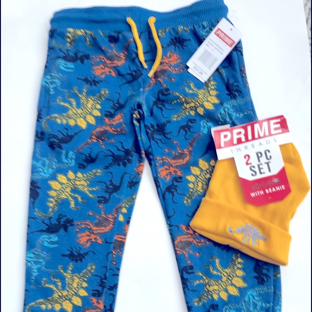 2 pc set Boys dinosaur sweatpants with matching hat